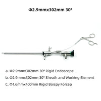 Medical Surgical Rigid Endoscope Hysteroscope Hysteroscopy Φ2.9mm Φ4mm 302mm 30° With Sheath Working Element Forceps Gynecology