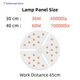 High Brightness Medical Surgical Veterinary Examination Shadowless LED Wall Install Lamp Light 36W 60W Touch Switch