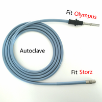 Medical  Endoscope Light Source Optical Fibers Cables Fits Olympus Storz Interface Diameter Φ4mm Length 2.5m 3m Autoclave Customizable